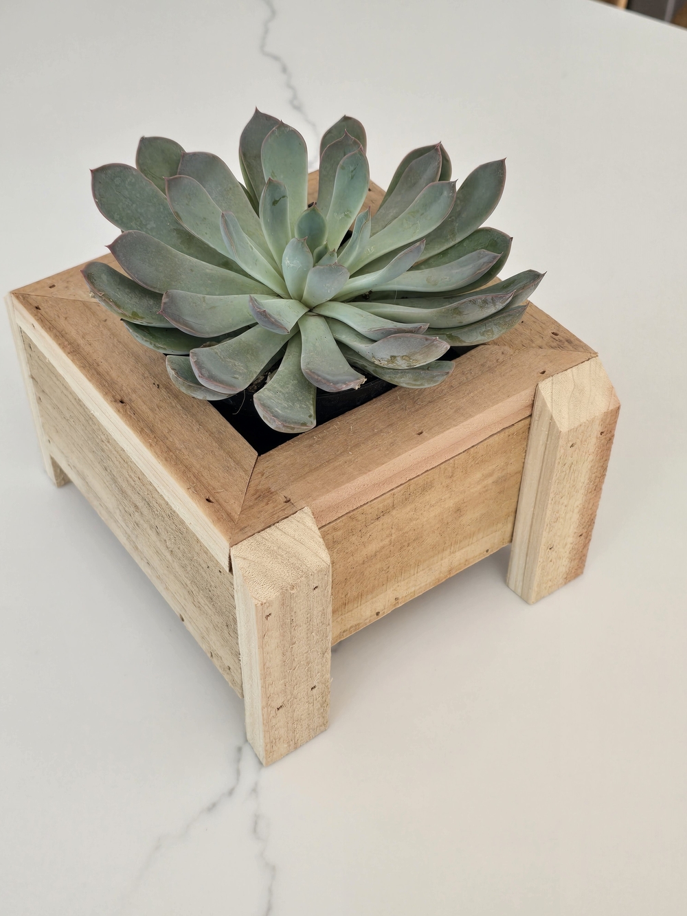 Handcrafted Cedar Planters – Perfect for Succulents, Cacti & Small Plants!